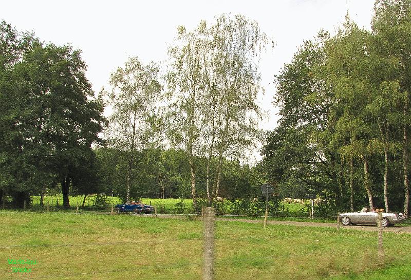 Zutendaal-5de Halfoogst treffen (62).jpg